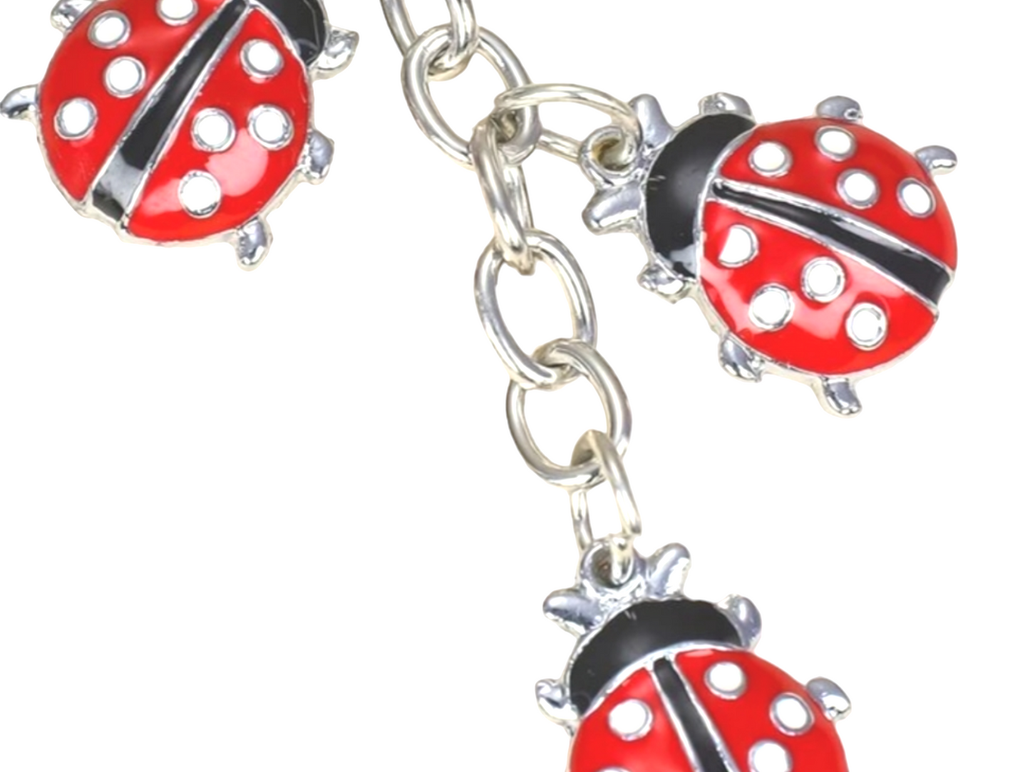 3pc Ladybug Keychain