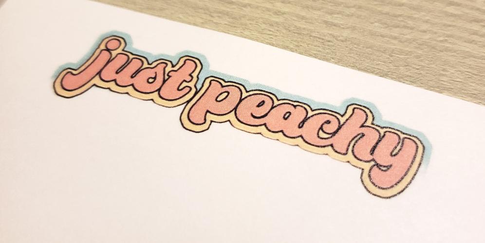 4" x 6" Just Peachy 🍑 Sticky Post-it Notes