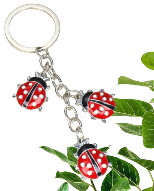 3pc Ladybug Keychain